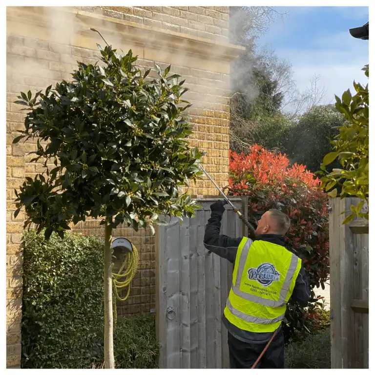 feel_the_pressure_stone_cleaning8.webp